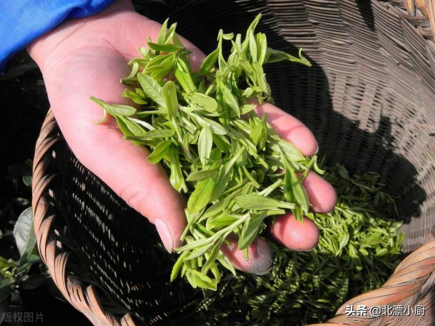 “明前茶”和“明后茶”有啥区别？哪种茶更好？